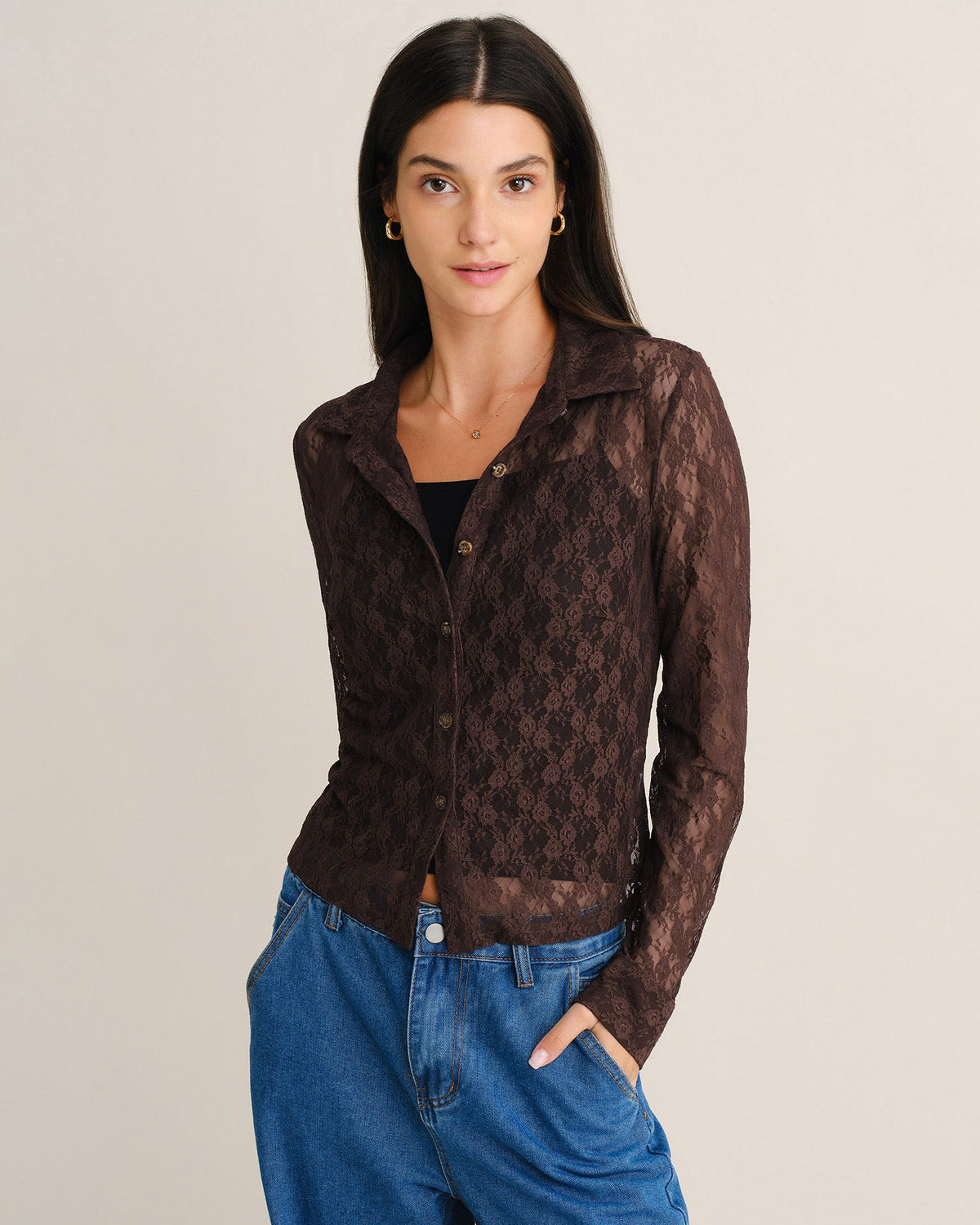 Sheer Lace Blouse with Point Collar and Button Front - Brown