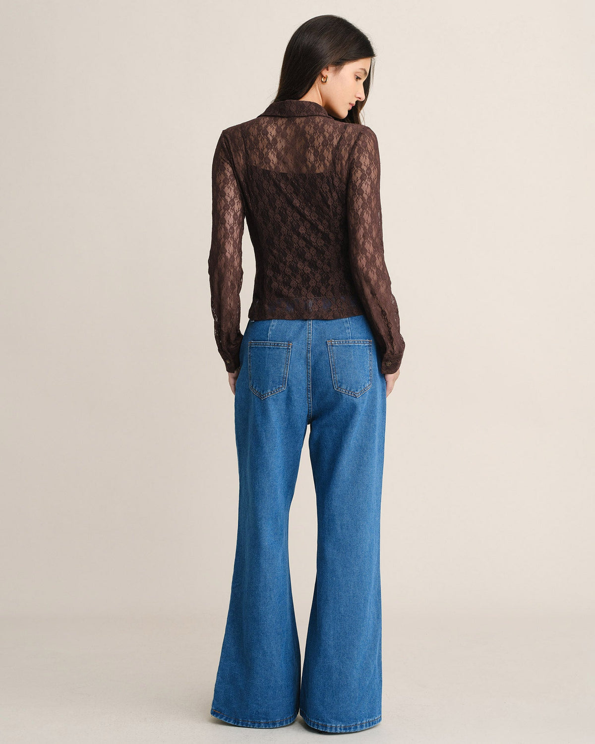 Sheer Lace Blouse with Point Collar and Button Front - Brown