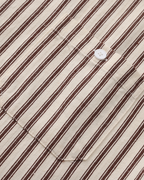 Vertical Stripe Shirt with Long Sleeves and Structured Collar